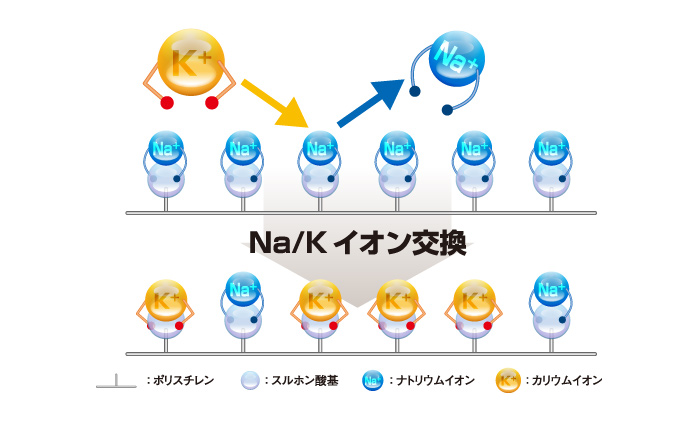 Na/K イオン交換